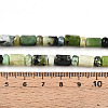 Natural Serpentine Beads Strands G-N346-03A-04-5