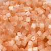 Glass Seed Beads X1-SEED-H002-D-A807-3