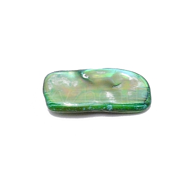 Natural Shell Beads BSHE-WH0001-06-1