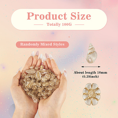 100G Transparent Acrylic Beads OACR-BT0001-07E-1