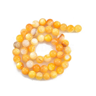 Natural Golden Yellow Shell Beads Strands SSHEL-G024-01C-1