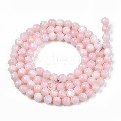 Natural Freshwater Shell Beads Strands X-SHEL-N003-24-B09-1