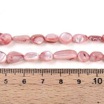 Natural White Shell Beads Strands SHEL-N036-21G-1