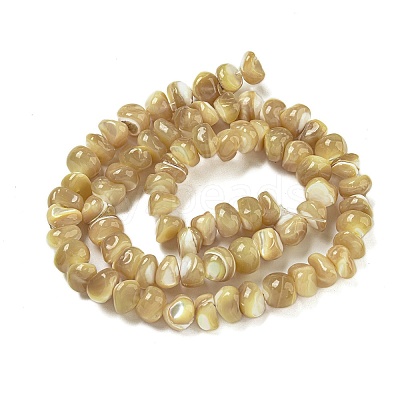 Natural Trochus Shell Beads Strands BSHE-G039-01A-1