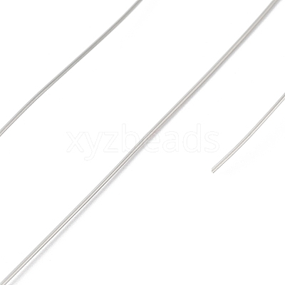 Non-Tarnish 10 Rolls 304 Stainless Steel Wire TWIR-H001-01F-P-1