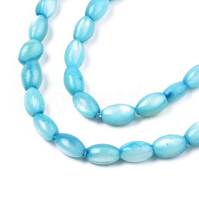 Freshwater Shell Beads Strands SHEL-T009-B15-05-1
