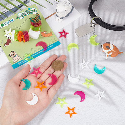 48Pcs 2 Style 4 Colors Transparent Blank Acrylic Pet Dog ID Tag PALLOY-AB00044-1