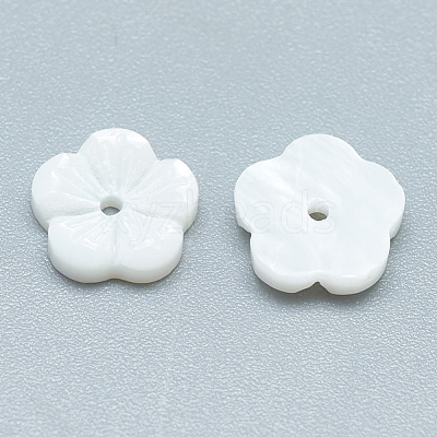 Freshwater Shell Beads SHEL-S275-015-1