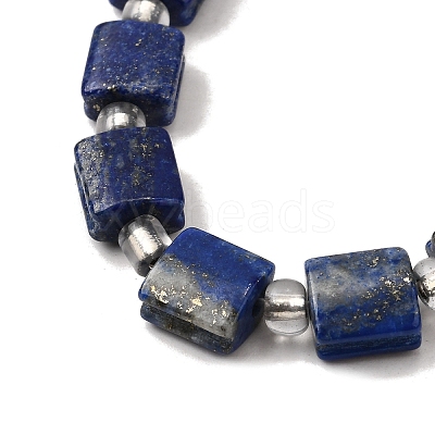 Natural Lapis Lazuli Beads Strands G-Z087-D01-1