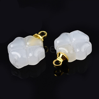 Glass Charms GLAA-N036-02B-1