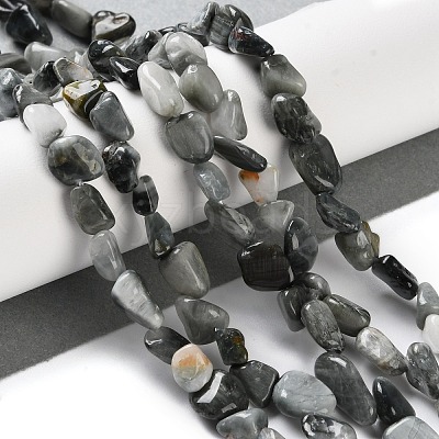 Natural Eagle Eye Stone Beads Strands X-G-P497-01C-52-1