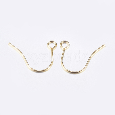 304 Stainless Steel Earring Hooks STAS-P162-13P-B-1