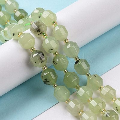 Natural Prehnite Beads Strands G-G990-F09-1