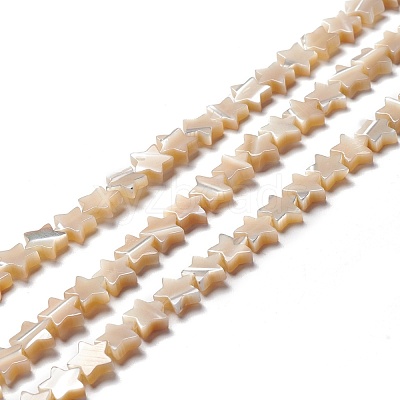 Natural Trochid Shell/Trochus Shell Beads SSHEL-O001-25B-01-1