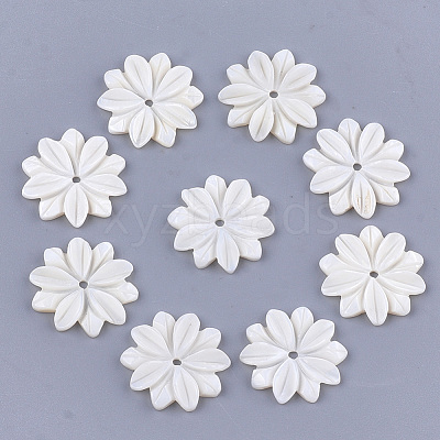 Carved Freshwater Shell Beads SHEL-T012-52-1