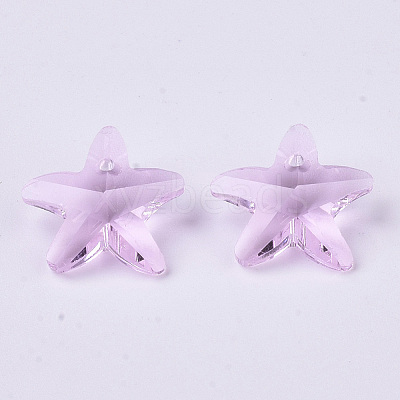 Transparent Glass Charms GLAA-N033-01M-1
