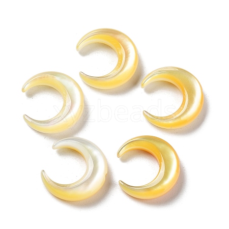 Natural Yellow Shell Beads SHEL-M020-04B-1