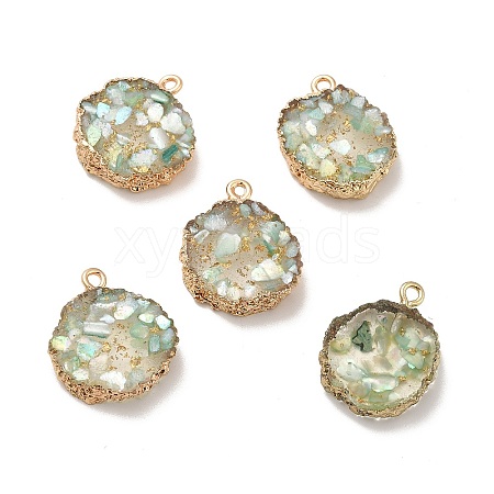 Transparent Resin Pendants CRES-F022-03E-1