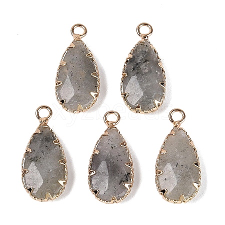 Natural Labradorite Faceted Pendants G-Q606-104G-04-1