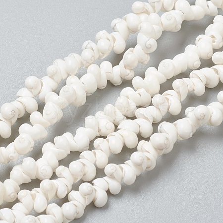 Natural Spiral Shell Beads Strands BSHE-I011-11C-1