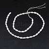 Dyed Natural Shell Beads Strands BSHE-E023-01C-2