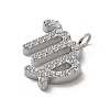 304 Stainless Steel Micro Pave Cubic Zirconia Charms STAS-Z107-09P-10-2