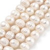 Natural Cultured Freshwater Pearl Beads Strands PEAR-C003-15E-1