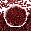 Transparent Colours Glass Seed Beads SEED-R001-01E-3