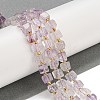 Natural Amethyst Beads Strands G-G053-B13-01A-2