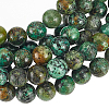 GOMAKERER 2 Strands Natural African Turquoise(Jasper) Beads Strands G-GO0007-09-1