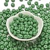 Opaque Colours Glass Seed Beads SEED-C001-03B-05-2