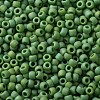 TOHO Round Seed Beads SEED-JPTR11-0407F-2