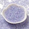 Glass Seed Beads SEED-K009-04A-13-2