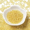 8/0 Glass Seed Beads SEED-Z001-C-E02-2