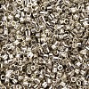 Plated Glass Cylinder Beads SEED-S047-E-003-3