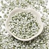 Baking Paint Glass Seed Beads X1-SEED-F006-01A-05-2