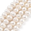 Natural Cultured Freshwater Pearl Beads Strands PEAR-C003-15F-1