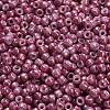 TOHO 6/0 Round Beads SEED-TR06-1202-4