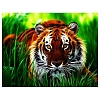 Tiger DIY Diamond Painting Kits PW-WGB7C33-01-1