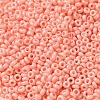 Baking Paint Glass Seed Beads SEED-P006-03A-01-3
