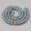 Frosted Plated Glass Beads Strands EGLA-S194-07-2