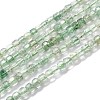 Natural Green Strawberry Quartz Beads Strands G-H266-05-1