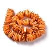 Natural Freshwater Shell Beads Strands SHEL-C001-10B-2