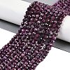 Natural Ruby Beads Strands G-P553-G01-04-1