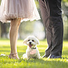2Pcs 2 Colors PU Leather Pet Collar Couple Ring Boxes AJEW-DR0001-23-5