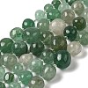 Natural Green Strawberry Quartz Beads Strands G-Q169-E06-01A-1