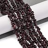 Natural Garnet Beads Strands F065-01A-2