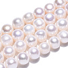 Natural Cultured Freshwater Pearl Beads Strands PEAR-N013-08E-3