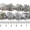 Natural Labradorite Beads Strands G-F769-P01-01-5