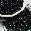 Spray Painted Glass Seed Beads SEED-F005-10A-03-1